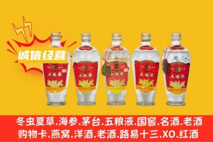 肇庆回收老五粮液