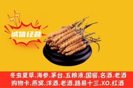 肇庆回收冬虫夏草